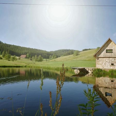 Ferienhaus Im Schwarzwald Am See "Backhaeusle" Villa Hornberg Eksteriør billede
